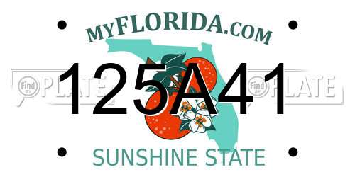 125A41 Florida License Plate