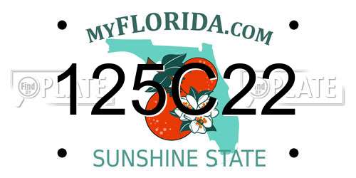 125C22 Florida License Plate