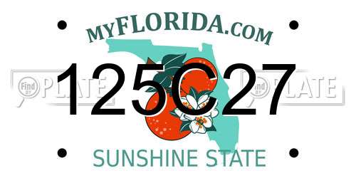 125C27 Florida License Plate