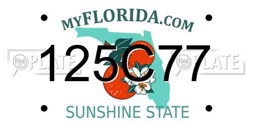 125C77 Florida License Plate