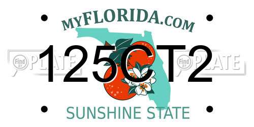 125CT2 Florida License Plate