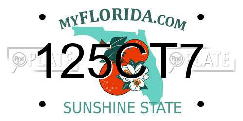 125CT7 Florida License Plate