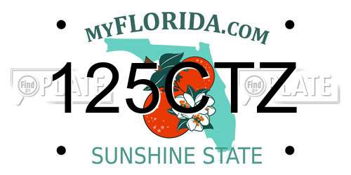 125CTZ Florida License Plate