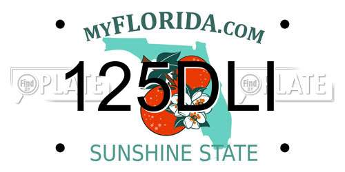 125DLI Florida License Plate