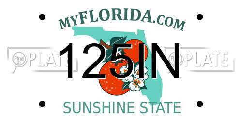 125IN Florida License Plate