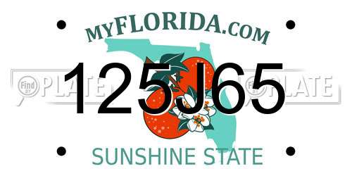 125J65 Florida License Plate