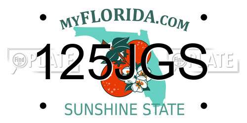 125JGS Florida License Plate