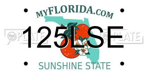 125LSE Florida License Plate