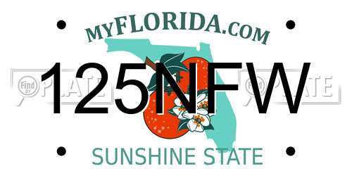 125NFW Florida License Plate