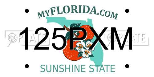 125PXM Florida License Plate