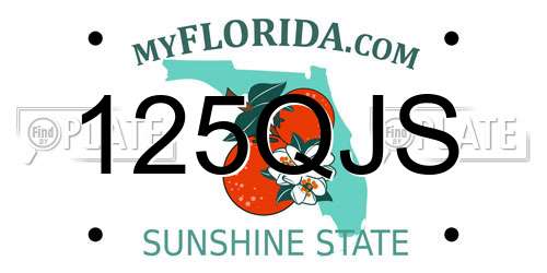 125QJS Florida License Plate