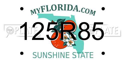 125R85 Florida License Plate