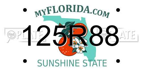 125R88 Florida License Plate