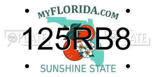 125RB8 Florida License Plate