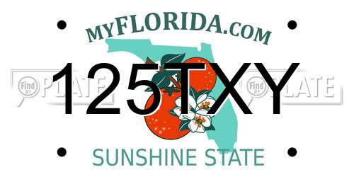 125TXY Florida License Plate