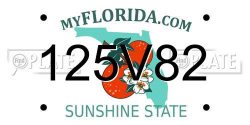 125V82 Florida License Plate