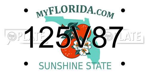 125V87 Florida License Plate