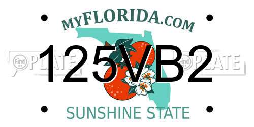 125VB2 Florida License Plate
