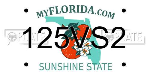 125VS2 Florida License Plate