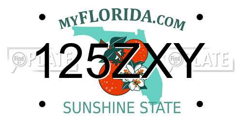 125ZXY Florida License Plate
