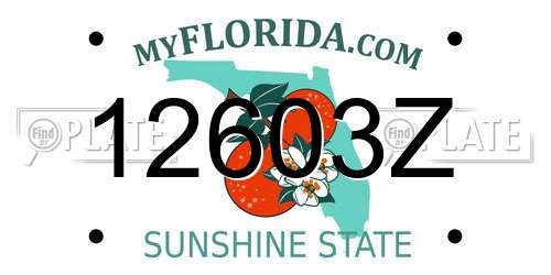 12603Z Florida License Plate