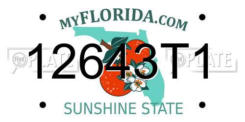 12643T1 Florida License Plate