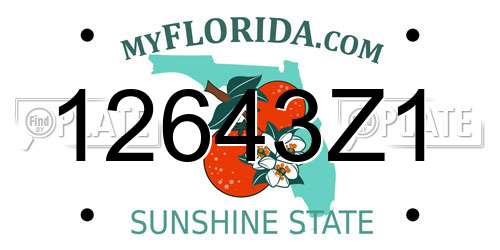 12643Z1 Florida License Plate