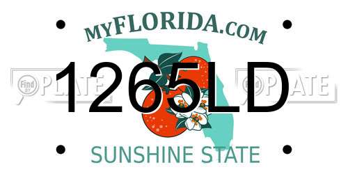 1265LD Florida License Plate