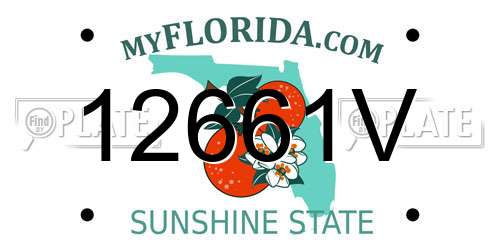 12661V Florida License Plate