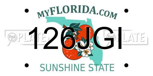 126JGI Florida License Plate