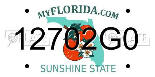 12702G0 Florida License Plate