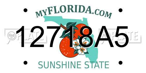 12718A5 Florida License Plate