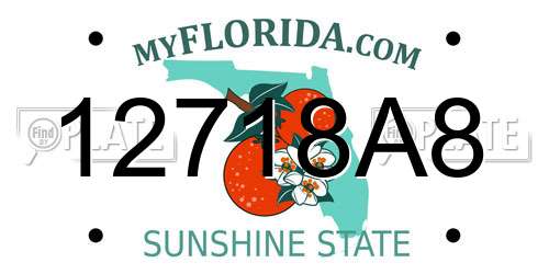 12718A8 Florida License Plate