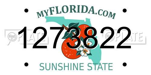 1273822 Florida License Plate