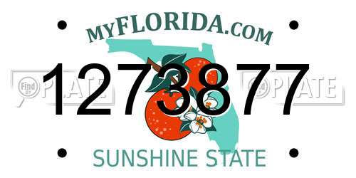 1273877 Florida License Plate