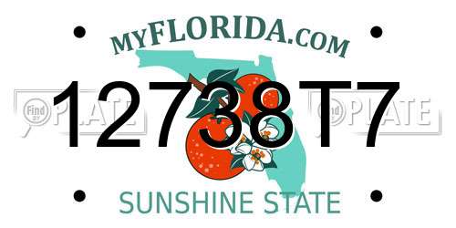 12738T7 Florida License Plate