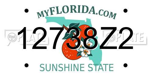 12738Z2 Florida License Plate