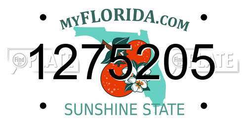1275205 Florida License Plate