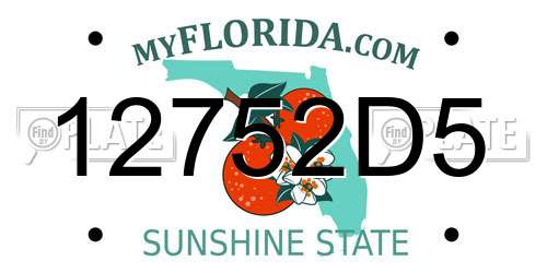 12752D5 Florida License Plate