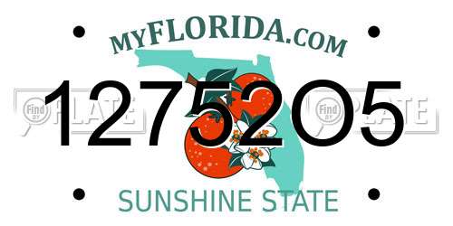 12752O5 Florida License Plate