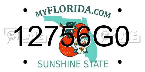 12756G0 Florida License Plate