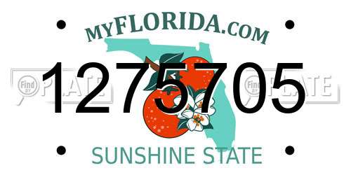 1275705 Florida License Plate