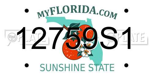 12759S1 Florida License Plate