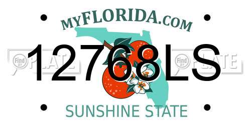 12768LS Florida License Plate