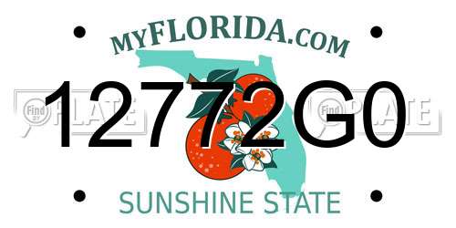 12772G0 Florida License Plate