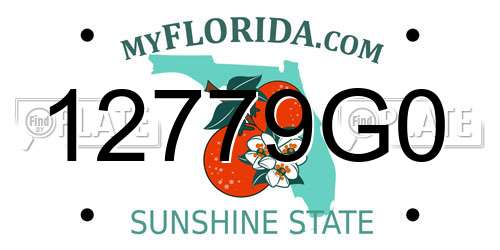 12779G0 Florida License Plate