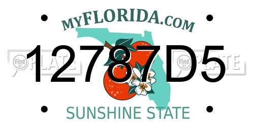 12787D5 Florida License Plate