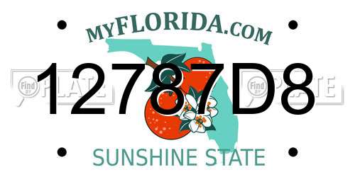 12787D8 Florida License Plate