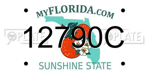 12790C Florida License Plate