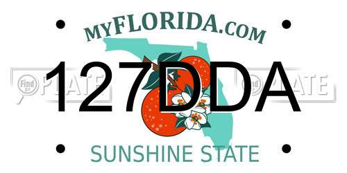 127DDA Florida License Plate